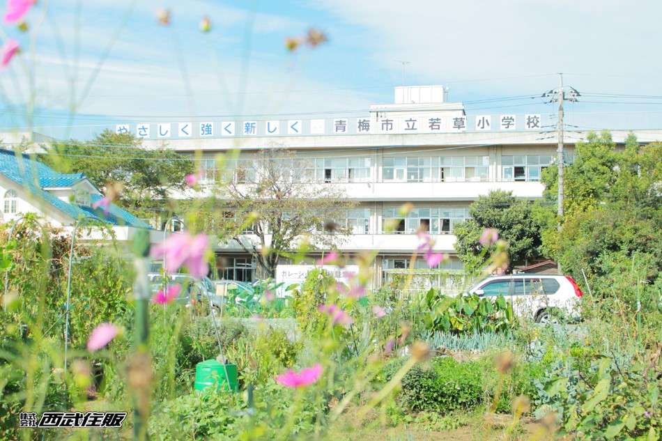 青梅市立若草小学校(徒歩8分)