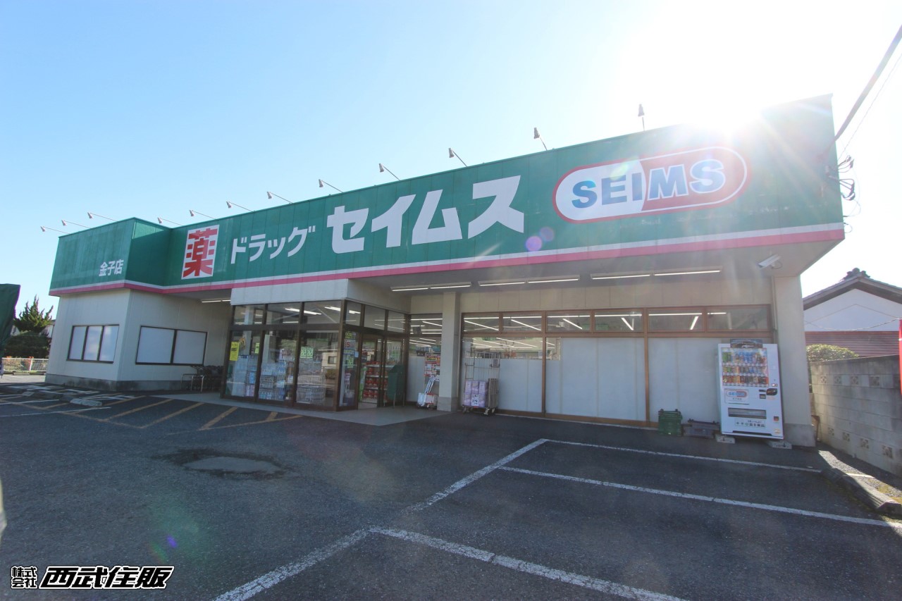 ドラッグセイムス 金子店(徒歩8分)